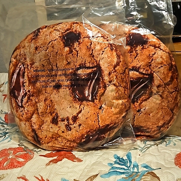 Chocolate Chip Real life Cookie Pillows NIB Set of 2 - Picture 1 of 3